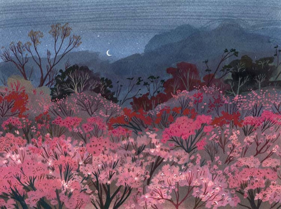 Pink Evening - Etsy | Etsy (US)