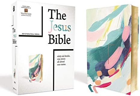 The Jesus Bible Artist Edition, NIV, Leathersoft, Multi-color/Teal, Comfort Print | Amazon (US)