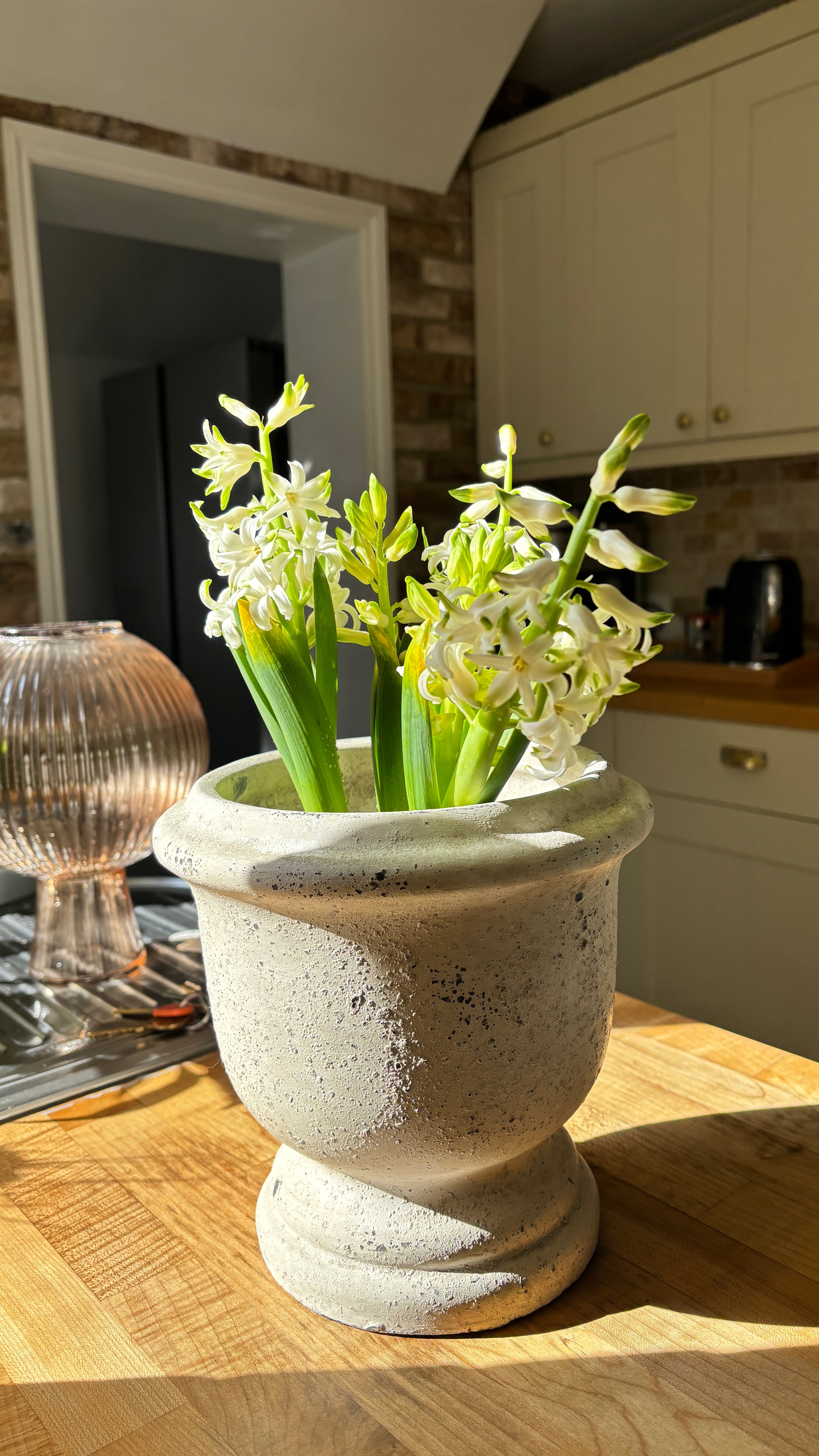 I went to homesense, so you don’t have to! New in on the website must haves linked below 🩷 #ltkstyletip #homesensehaul

#LTKspring #LTKuk #LTKhome