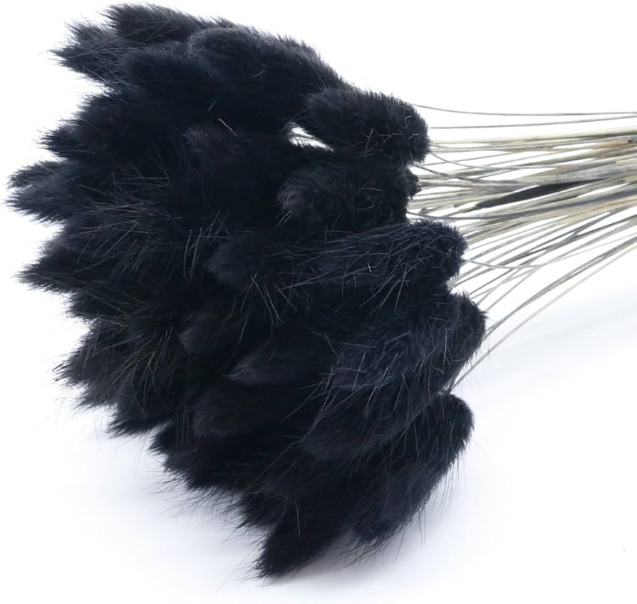 17'' Bunny Tails Dried Flowers, 60 Stems Black Lagurus Ovatus Natural Dried Rabbit Tail Grass for... | Amazon (US)