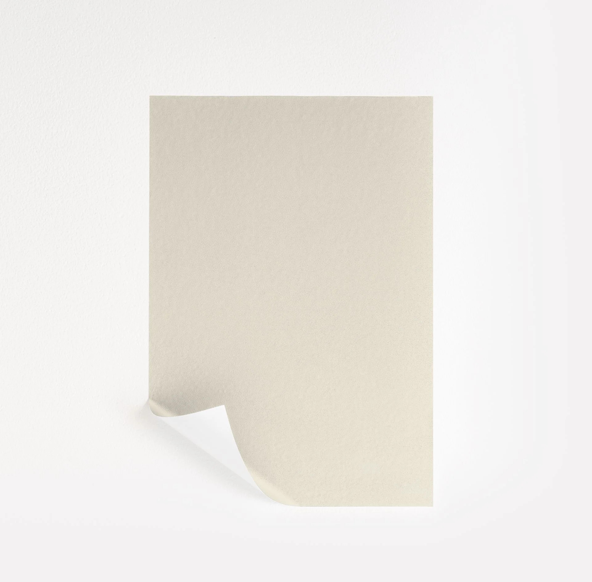 Seashell Paint Sample by Benjamin Moore (926) | Peel & Stick Paint Sample | Samplize