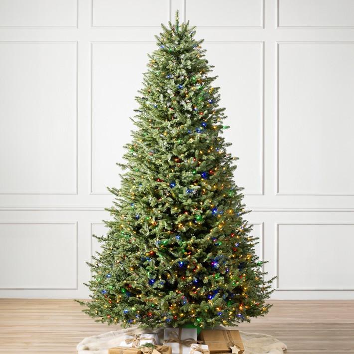 Balsam Hill Most Realistic Balsam Fir Faux Tree, 6.5'-12' | Williams-Sonoma
