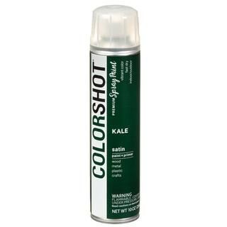 COLORSHOT® Premium Satin Spray Paint | Michaels Stores
