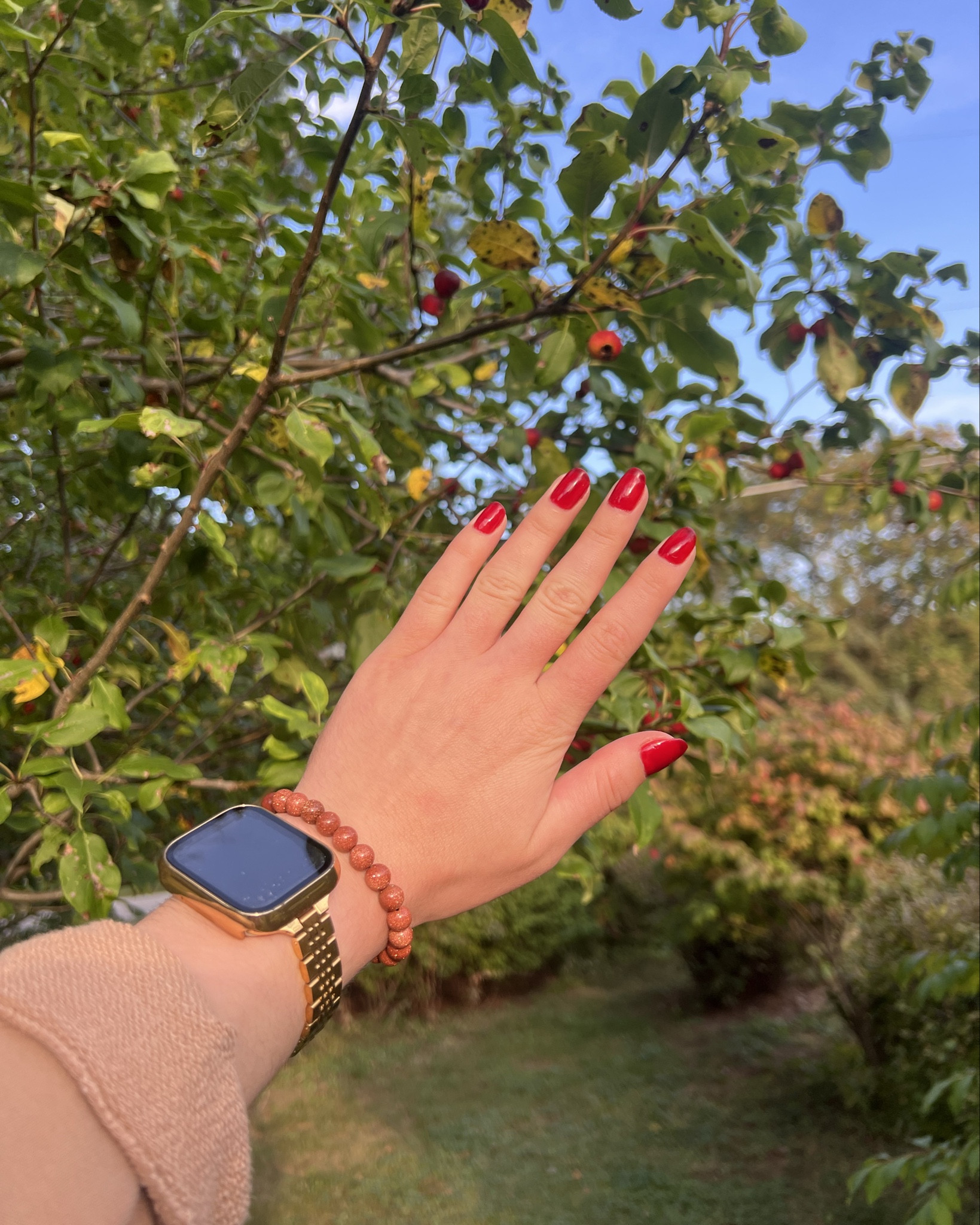 red nails for fall 💋💅

I used my Beetles jelly deep red in the shape 496

Beetles base and top coat 

Red carpet lamp 

E-file to get my old polish off! Makes doing my nails so much easier and faster 

Cute pink bag to hold all my nail stuff

#rednails
#fallnails
#nailsforfall
#nails

#LTKFallSale #LTKStyleTip #LTKSeasonal
