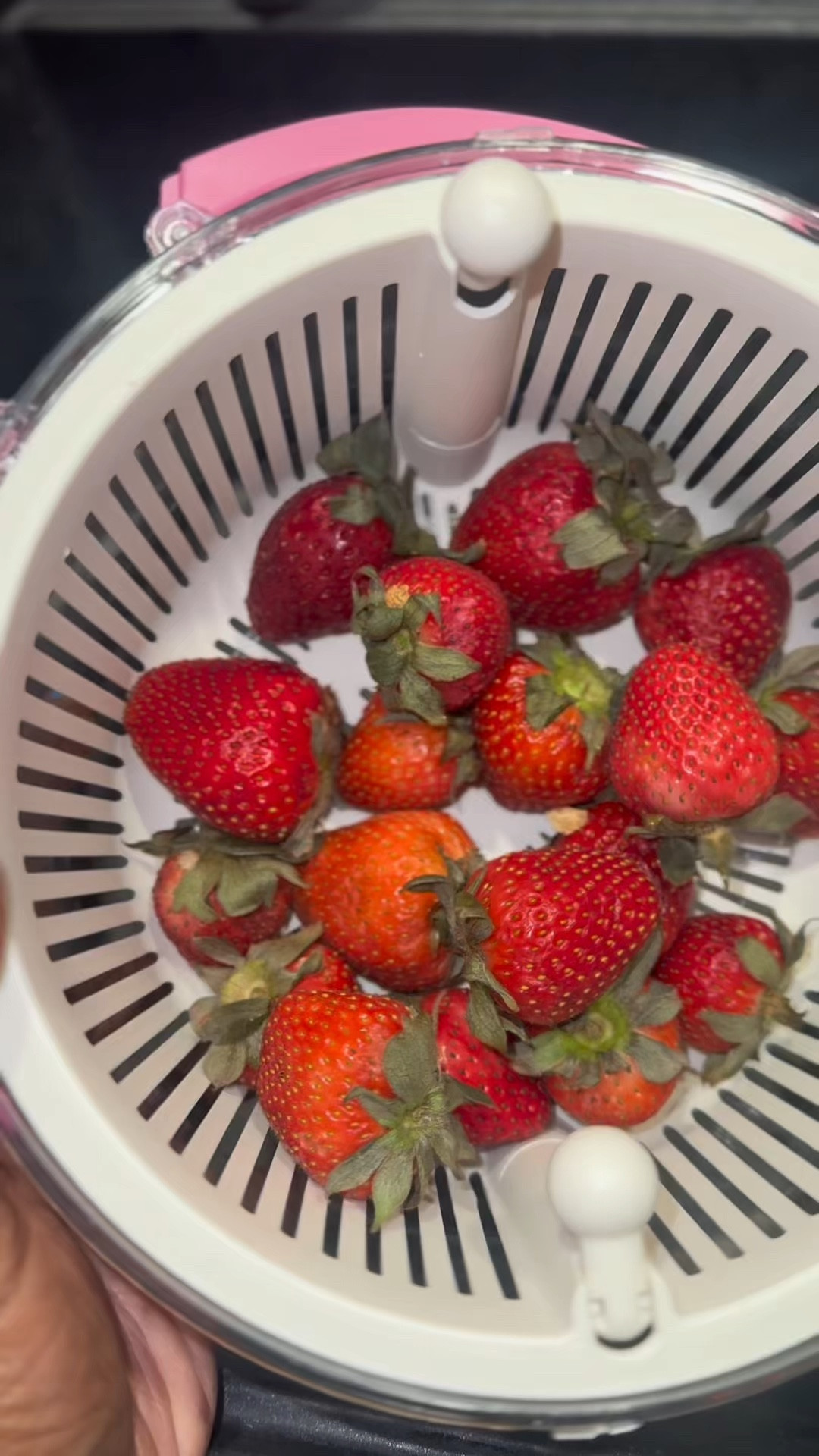 POV: meal prep just got real easy 🍓🥒

This spinning bowl = wash + slice all in one 👏🏽
Paired it with my Arm & Hammer fruit & veggie wash so everything is actually clean-clean 🧼✨

If you trying to eat better without spending all day in the kitchen… yeah, you need this 🏃🏽‍♀️💨
🛒 in the orange cart

#MomLifeHacks #KitchenFinds #MealPrepMadeEasy #HealthyHabits #TikTokShopFinds

#LTKfoodie