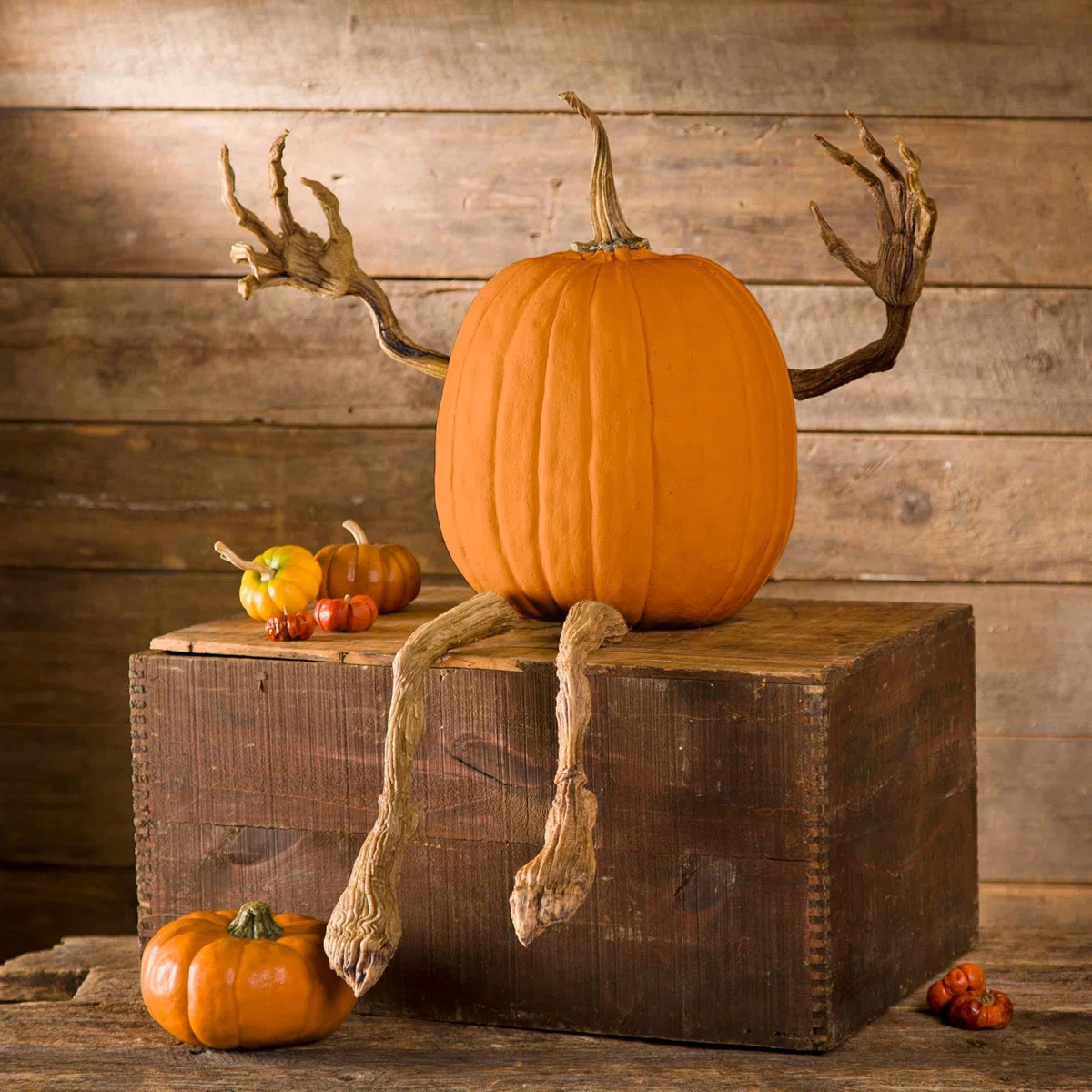 4-Piece Posable Pumpkin Vine Arms and Legs Set | Wayfair North America