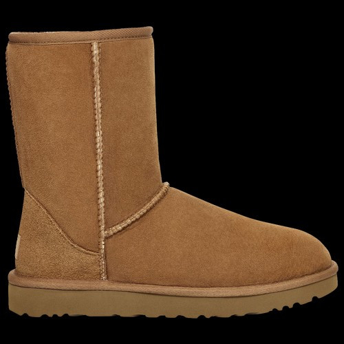 UGG Womens UGG Classic Shorts II - Womens Shoes Chestnut Size 06.0 | Foot Locker (US)