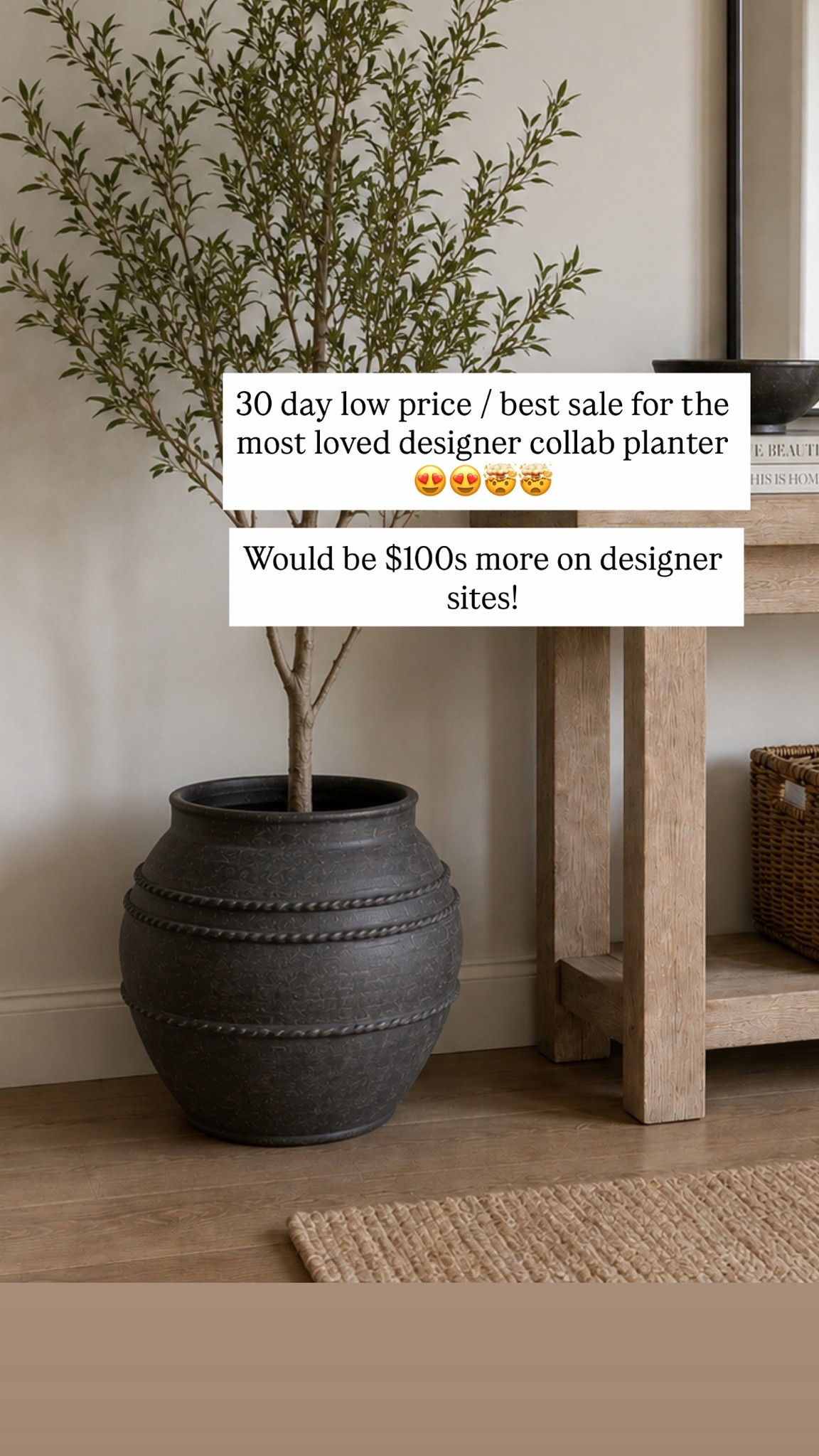 30 day low price / best sale for the most loved designer collab planter 😍😍🤯🤯

Would be $100s more on designer sites!