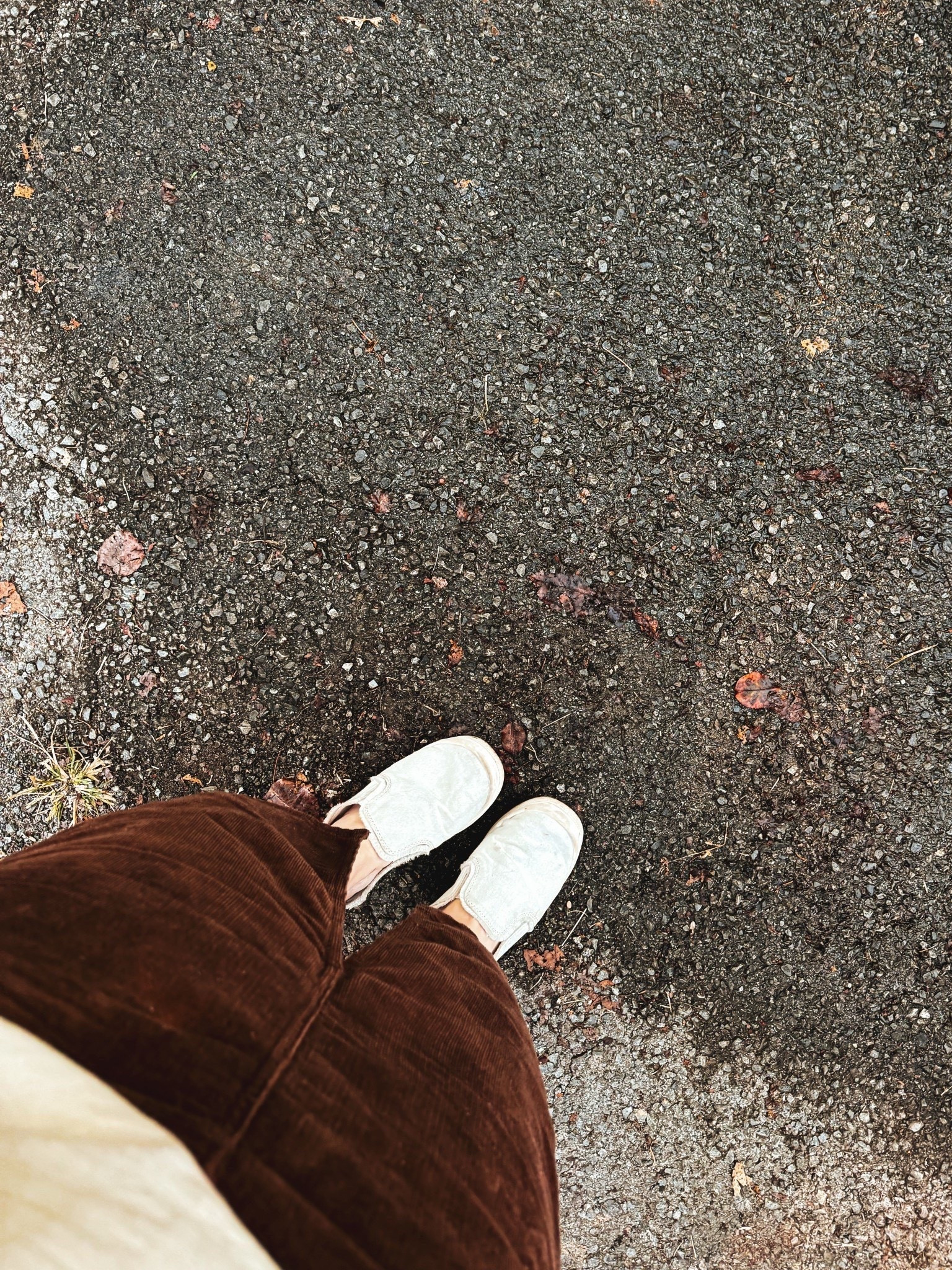 These corduroy skirts have been a top seller this month! 🤩



fall outfits | ootd | fall wardrobe essentials | mom ootd | fall ootd | shoes | blowfish malibu | tennis shoes | white shoes | casual wear | comfy fits | modest fashion 

#LTKWorkwear #LTKStyleTip #LTKBeauty

#LTKWorkwear #LTKootd #LTKHoliday