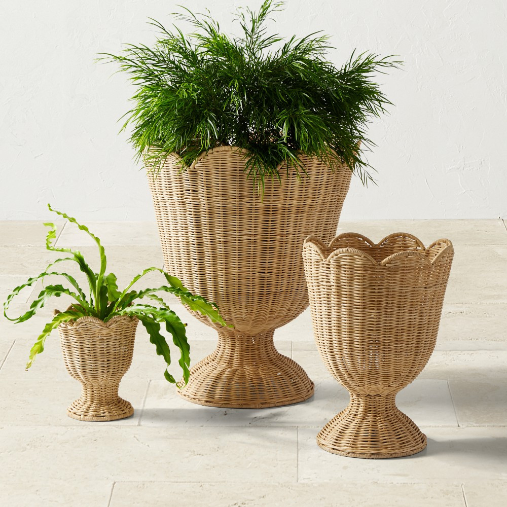 Woven Urn Planter Collection | Williams-Sonoma