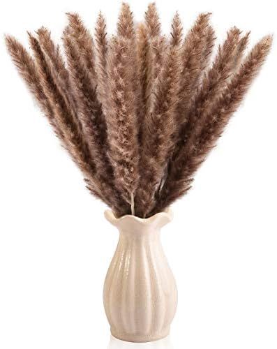Dry Pampas Grass Natural Dried Fluffy Bundle for Home Decor 20pcs (Brown) | Amazon (US)