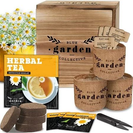 Tea Garden Kit, Seed Starter Kit and Indoor Gardening Kit with Herbal Seeds for Planting, Herb Garde | Walmart (US)