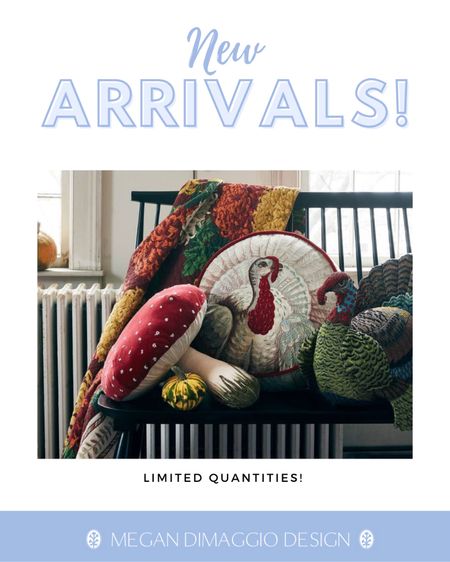 And I’ve linked the entire new Thanksgiving themed throw pillows (and this pretty mum blanket! 😍) here!! Looks so much like pottery barn or Anthropologie but from just $15-$40!! 🤯🙌🏻🦃🍂

#LTKHoliday #LTKfindsunder50 #LTKhome