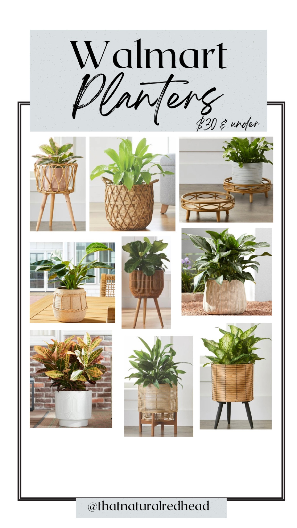 My favorite, most adorable planters. I love these in my home for that light & airy vibe.

#LTKunder50 #LTKhome #LTKstyletip