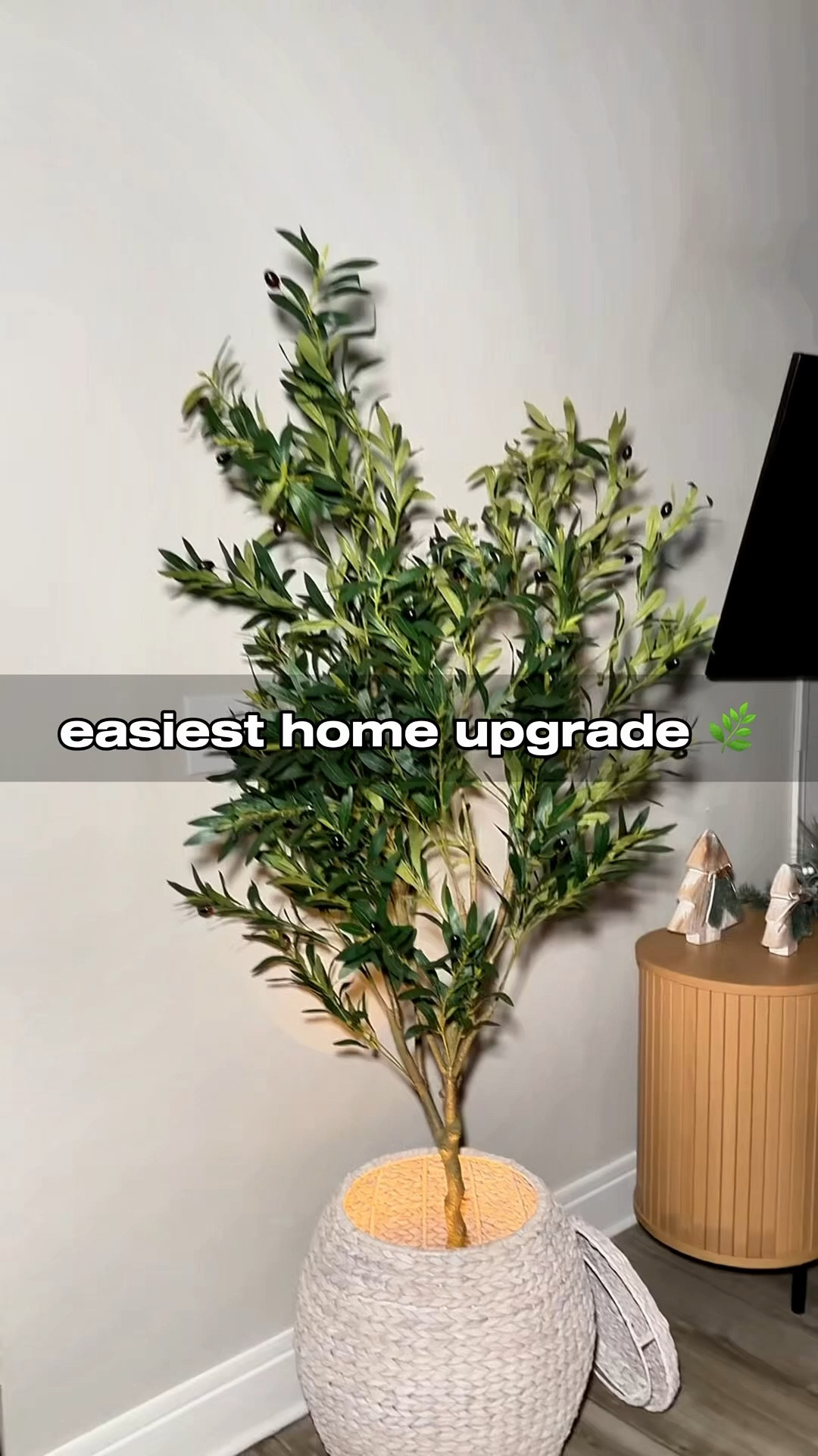 This faux olive tree is definitely the easiest way to upgrade your home🍃

#homedecorideas
#oliveplantdecor
#modernhomedecor #homedecorfinds
#livingroomdecor
#homeupgrade

#LTKSpringSale #LTKmomlife #LTKHome
