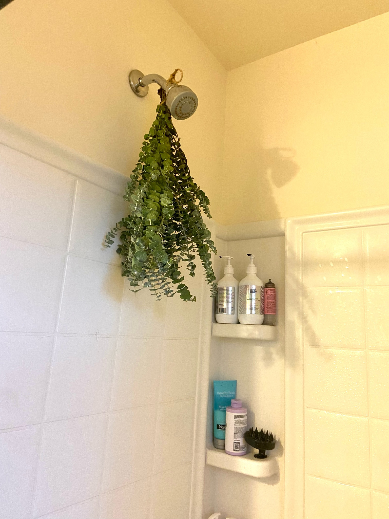 Not a want but a need!! The perfect way to have a spa day right at home, everyday! 

#LTKfamily #LTKhome #LTKsalealert