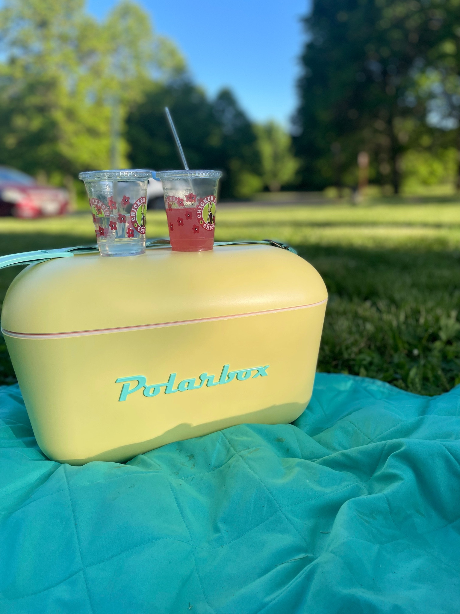 The cutest summer cooler! Click images to shop! follow me here & IG @alexisanaiss / @shopptheircloset for more exclusive posts & product! So glad you’re here ✨

#LTKSeasonal #LTKfamily #LTKGiftGuide