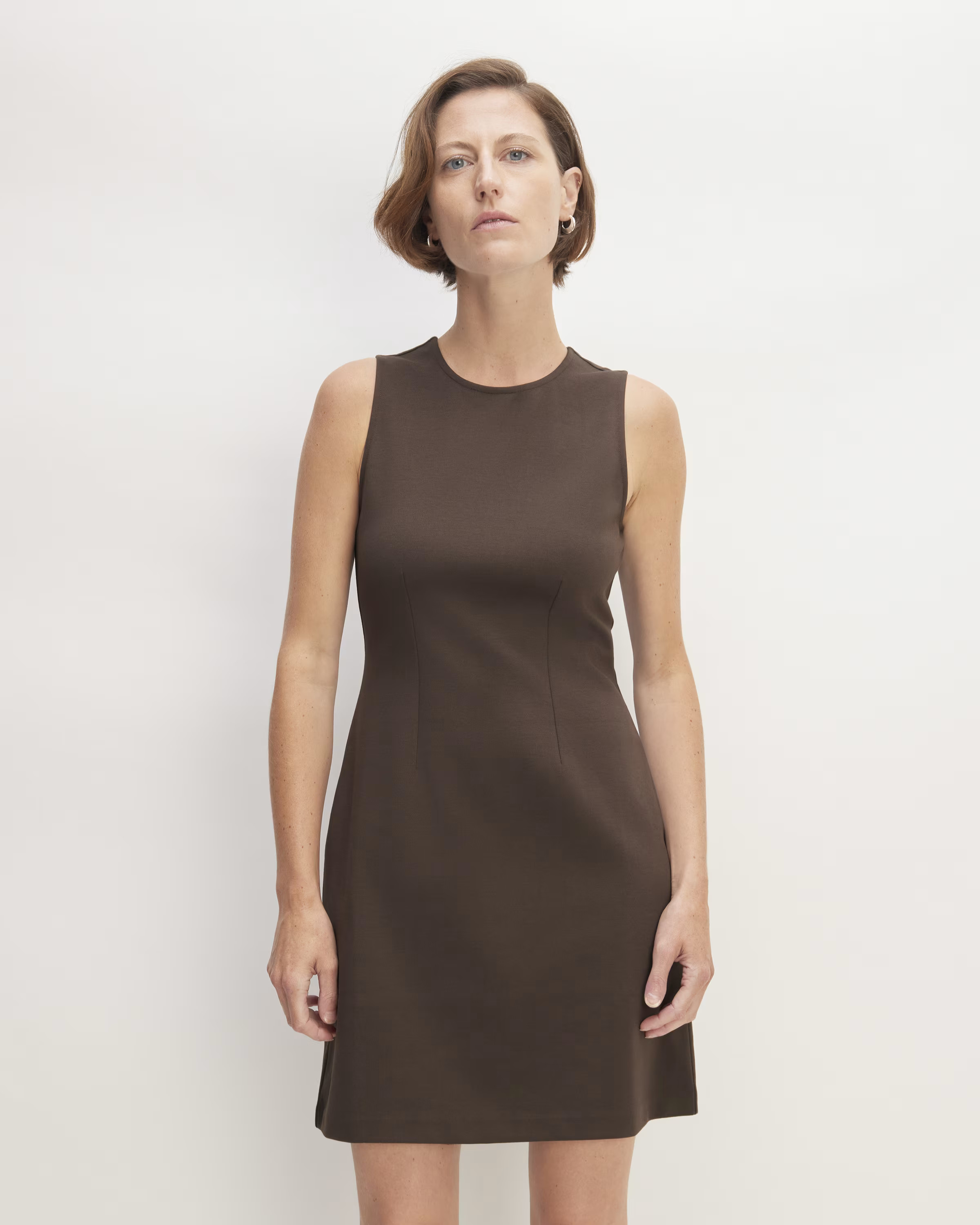 The Dream Shift Dress | Everlane