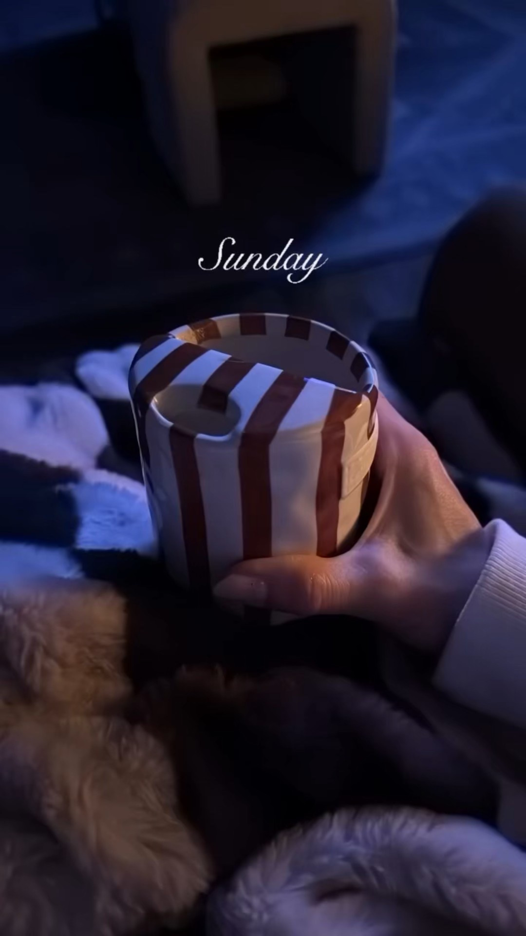 #LTKGiftGuide #LTKHoliday #LTKHome