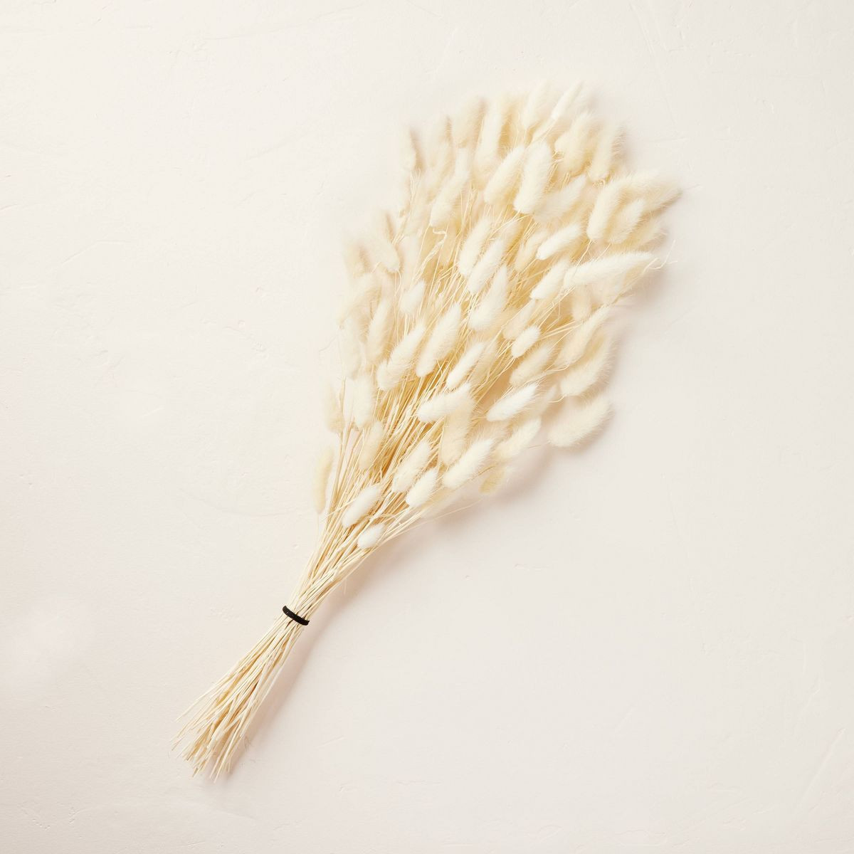 24" Preserved Cream Bunny Tail Grass Stems Bundle - Hearth & Hand™ with Magnolia | Target