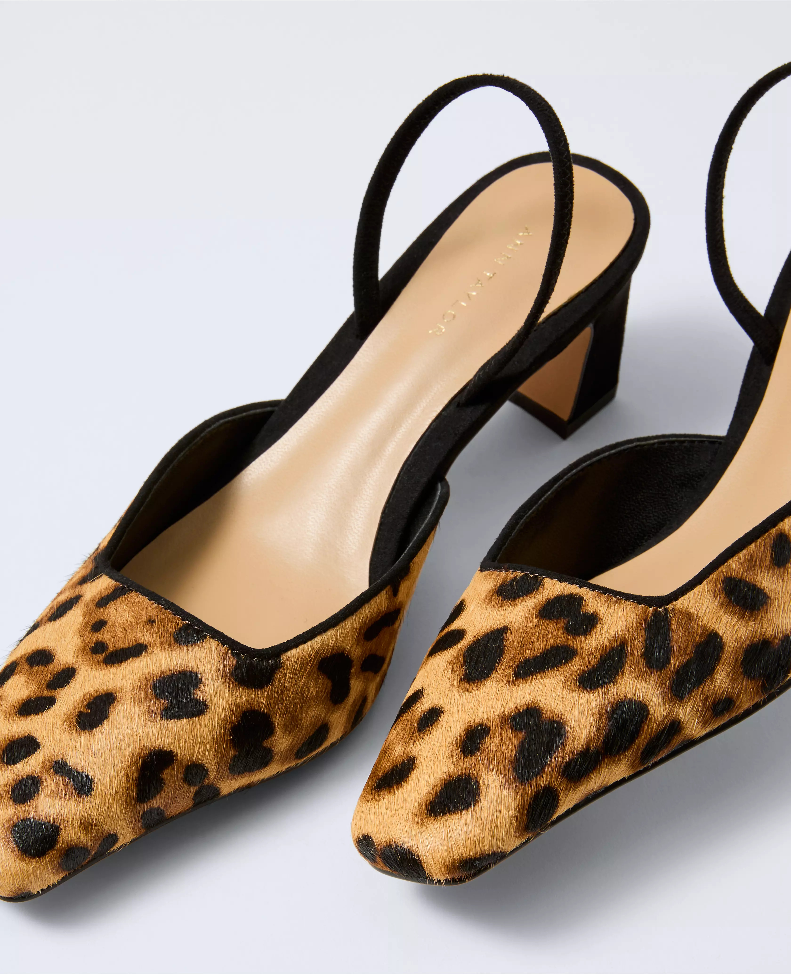 Ann Taylor | Ann Taylor