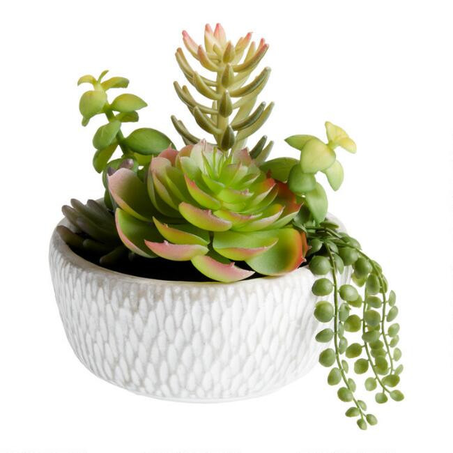 Faux Succulent Arrangement in Gray and White Cement Pot | World Market