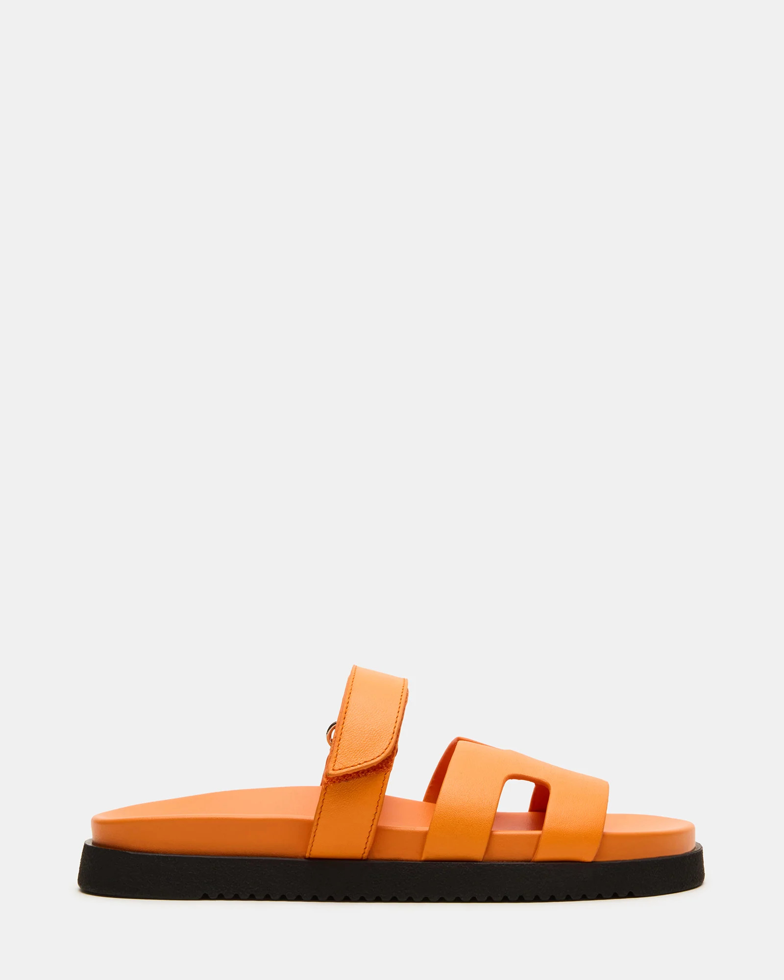 Mayven Orange Leather | Steve Madden (US)