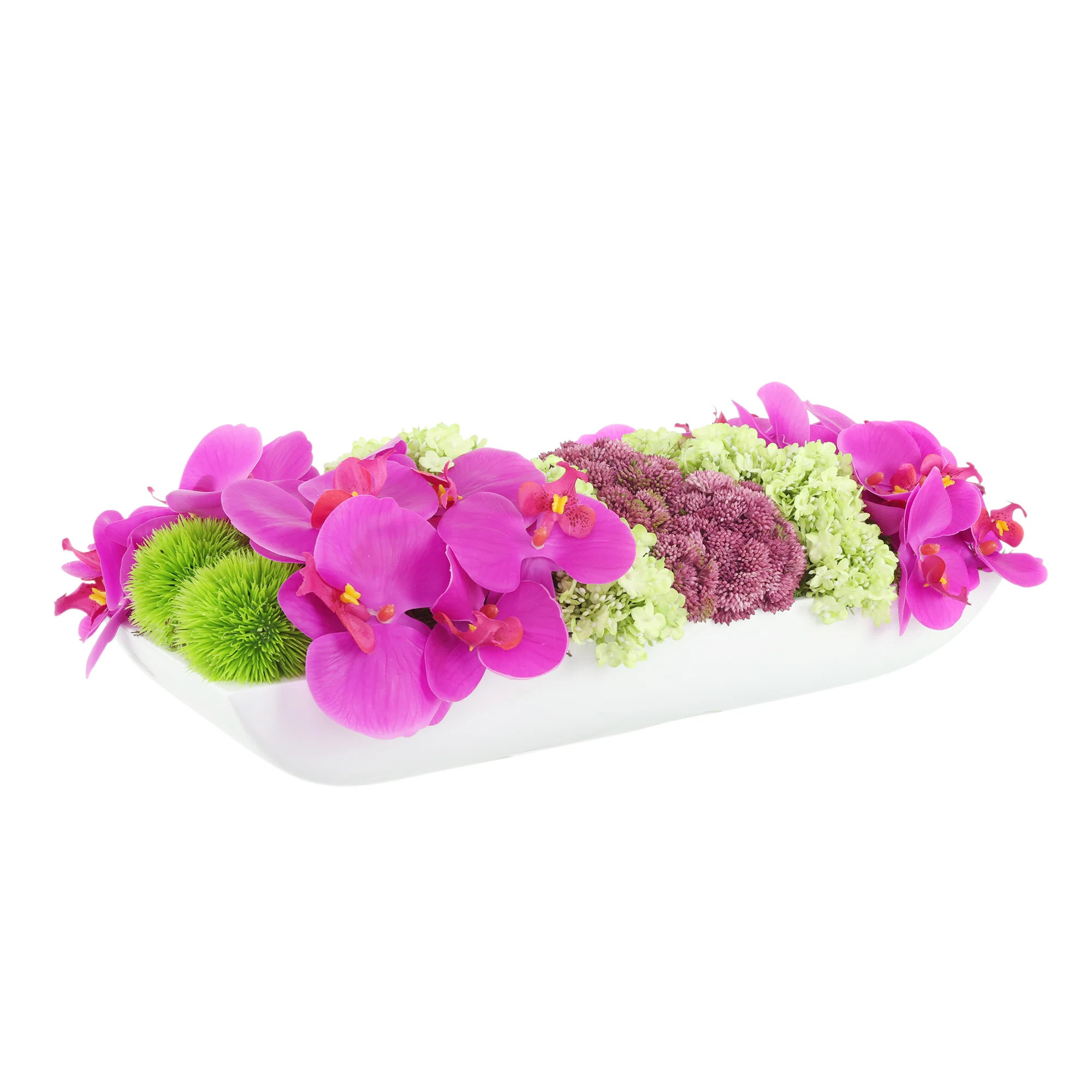 Adelina Orchid and Succulent Arrangement | Wayfair North America