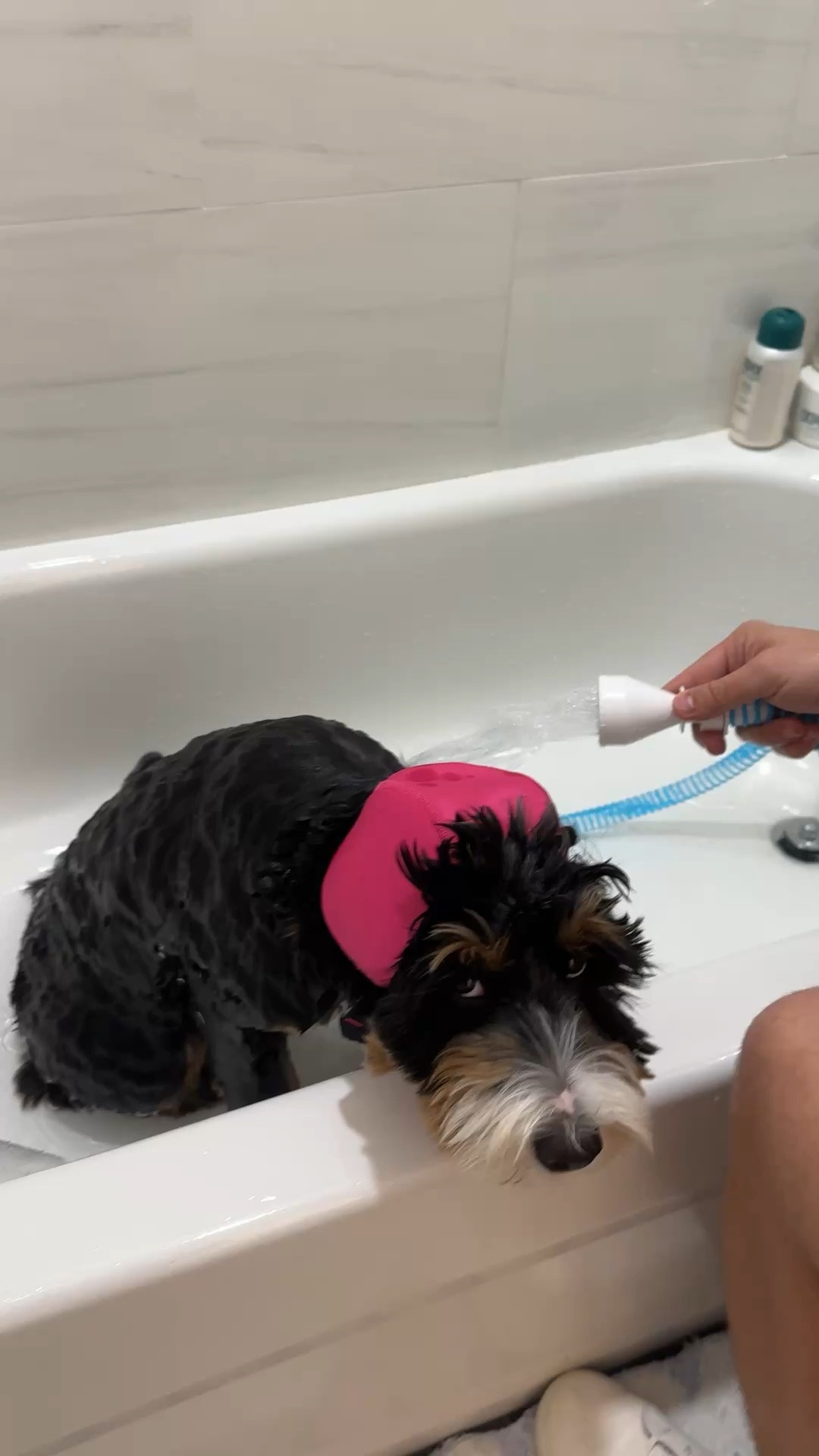 Rinseroo: Slip-On Tub Hose – As Seen on Shark Tank – 5ft Flex Bathtub Faucet Sprayer – Easy Rinse for Pets, Hair & Cleaning – No Installation Needed – Fits Faucets Up to 3” Wide – Mess-Free & Portable

#LTKmomlife #LTKTravel #LTKHome