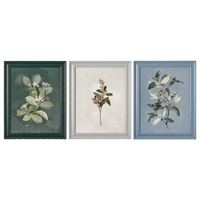 Beautiful by Drew Framed Vintage Botanical Color Block set of 3 | Walmart (US)