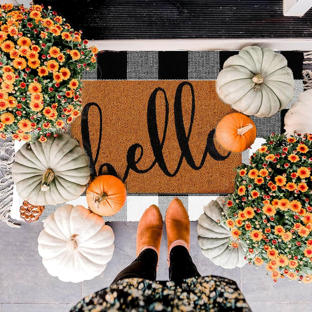 2PCS Front Porch Decor Mats, Hello Door Mat and Buffalo Plaid Checkered Outdoor Rug, Front Door M... | Amazon (US)