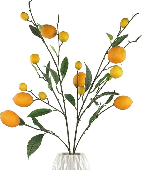 Rinlong 2Pcs Artificial Lemon Branches for Kitchen Party Decoration Yellow Fake Lemon Decor Farmh... | Amazon (US)