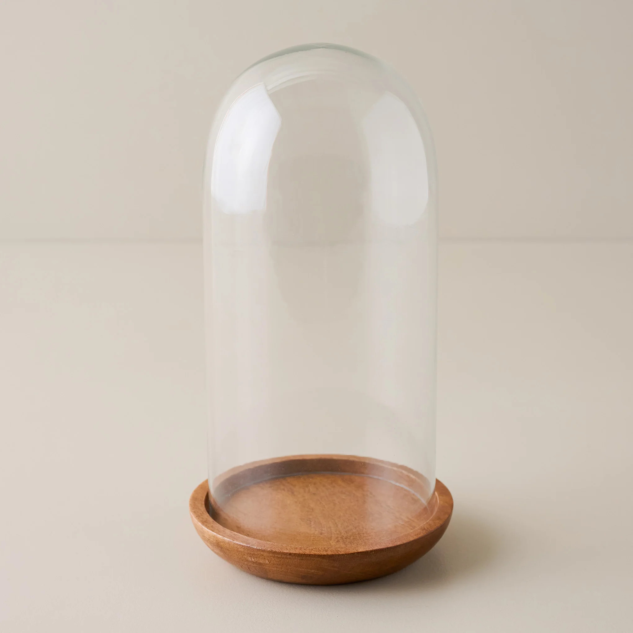 Glass Cloche with Wood Base | Magnolia