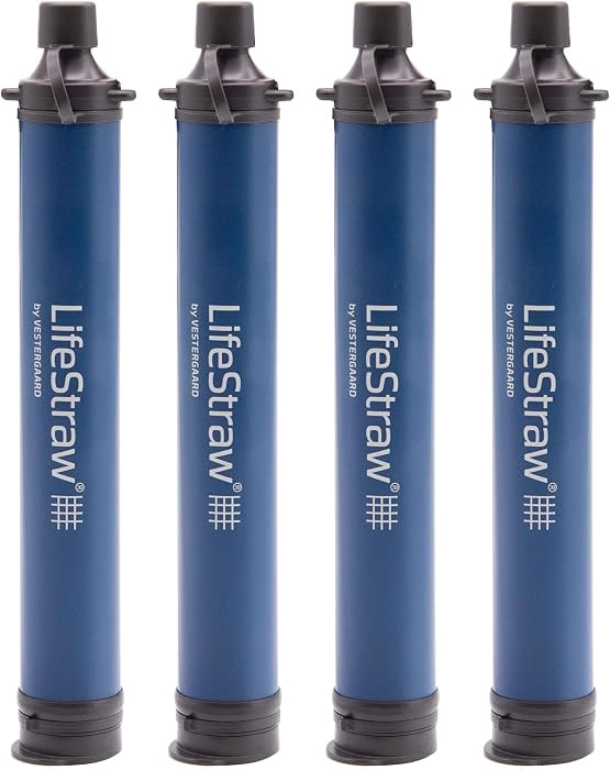 LifeStraw Personal Water Filter for Hiking, Camping, Travel, and Emergency Preparedness | Amazon (US)