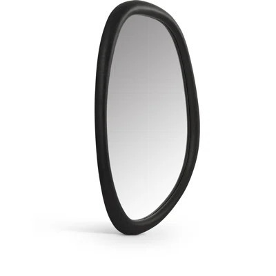 Raeana Polyresin Mirror | Wayfair North America