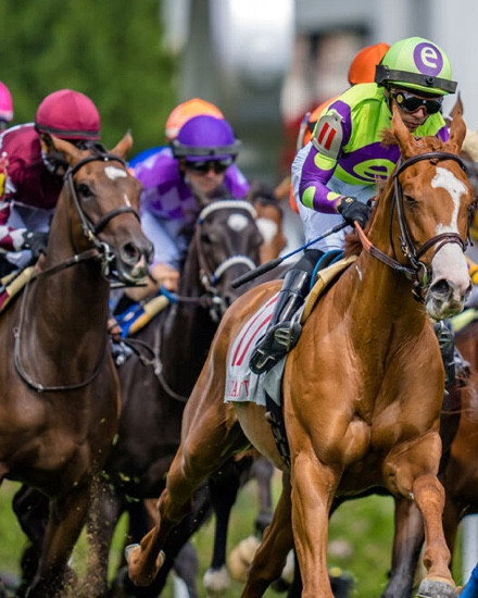 The 150th Kentucky Derby is Saturday May 4th!🐎 It’s the 150th Run for the Roses!🌹 
I live in a horse town and I would love to attend the Derby! I won’t be in person but I will be watching from home🐎🌹
You can order one of these Kentucky Derby party kits from GoldBelly! I ordered the Taste of the Masters and loved it!💚

#LTKSeasonal #LTKActive #LTKtravel