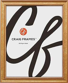 Craig Frames 16x20 Ornate Gold Picture Frame – Traditional Thin Wood Design with Plexiglass & B... | Amazon (US)