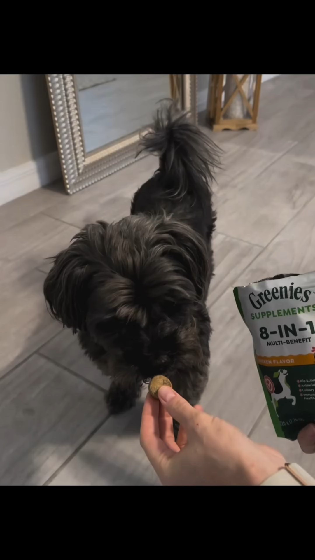 These daily soft chews containing 40 pieces in bag which is a good value as it last for small dogs up to a month. My dog weight is about 19lbs, so I give him one chew per day for health support. It contains lots of benefits for health support. It has such  ingredients like glucosamine, omega‑3s, L‑carnitine, cranberries, taurine, vitamin C, probiotics, doesn’t have artificial flavors, colors, or preservatives. Looks like it tastes good as my dog everyday stays near pantry for new treat. And he is very happy every time I take a pack to give him a treat. The chews as very soft do it is good for senior dogs. My dog is 11 year old so this supplement is very beneficial. My dog didn’t have any issues after taking this supplement. 

#LTKPets