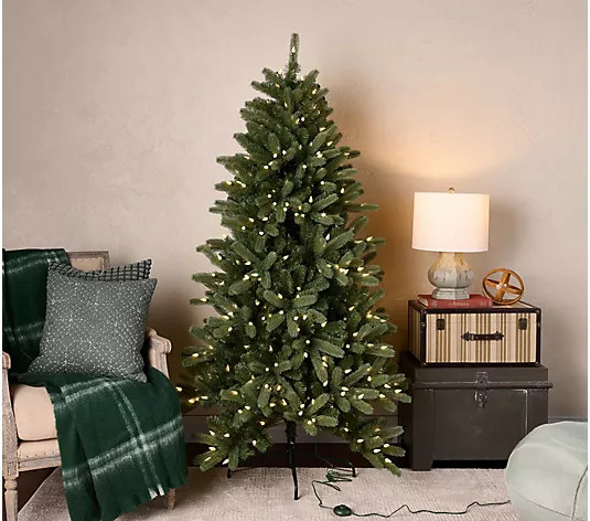 Make Your Selection: Home Reflections 6' LED Colorado Spruce w/ Remote | QVC