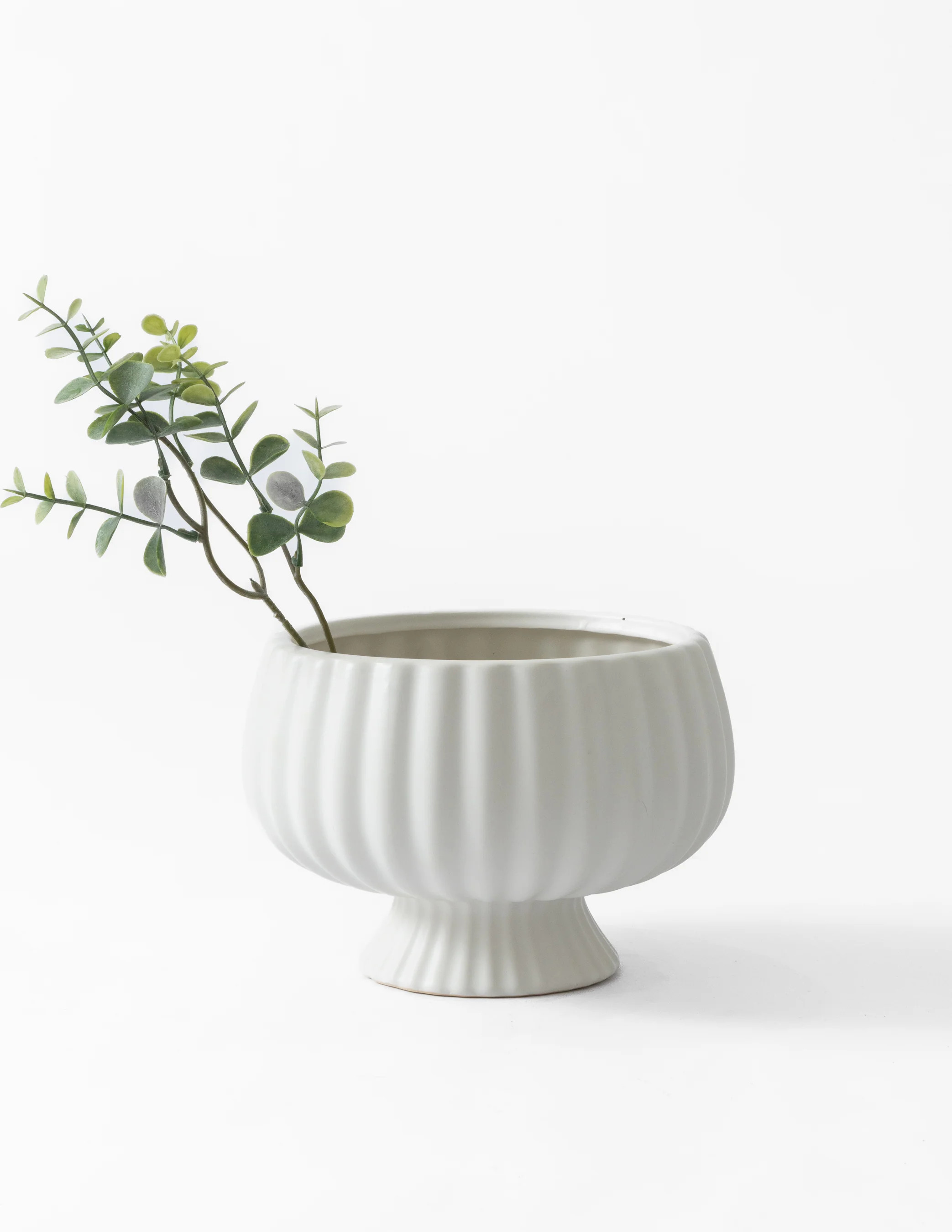 Sonata Compote (Large) | Eco Chic Home