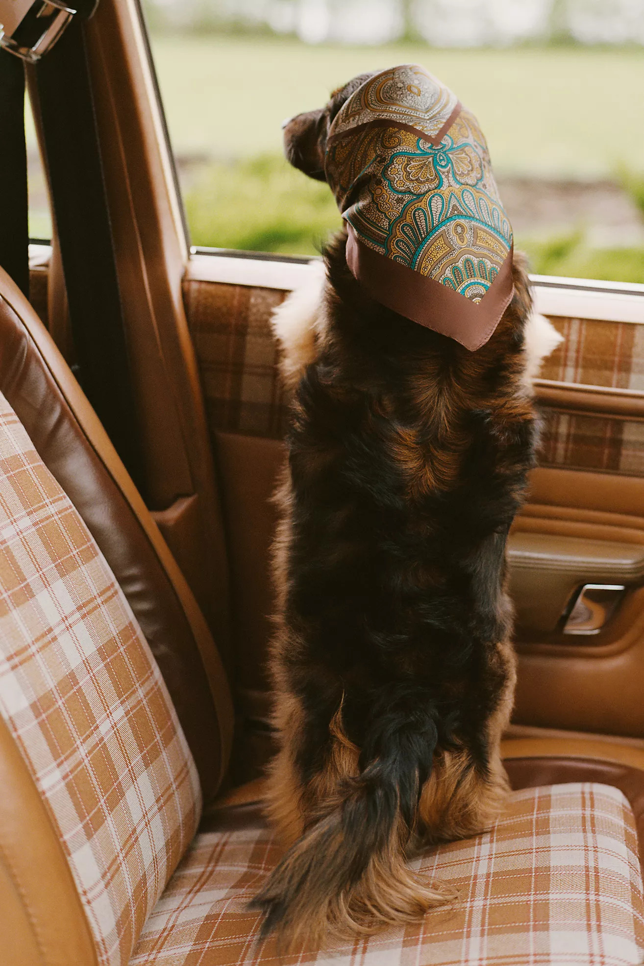 Printed Hair Scarves, Set of 2 | Anthropologie (US)