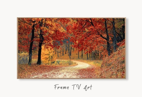 Samsung Frame TV Art 4K Forest Trail in the Fall Landscape - Etsy | Etsy (US)