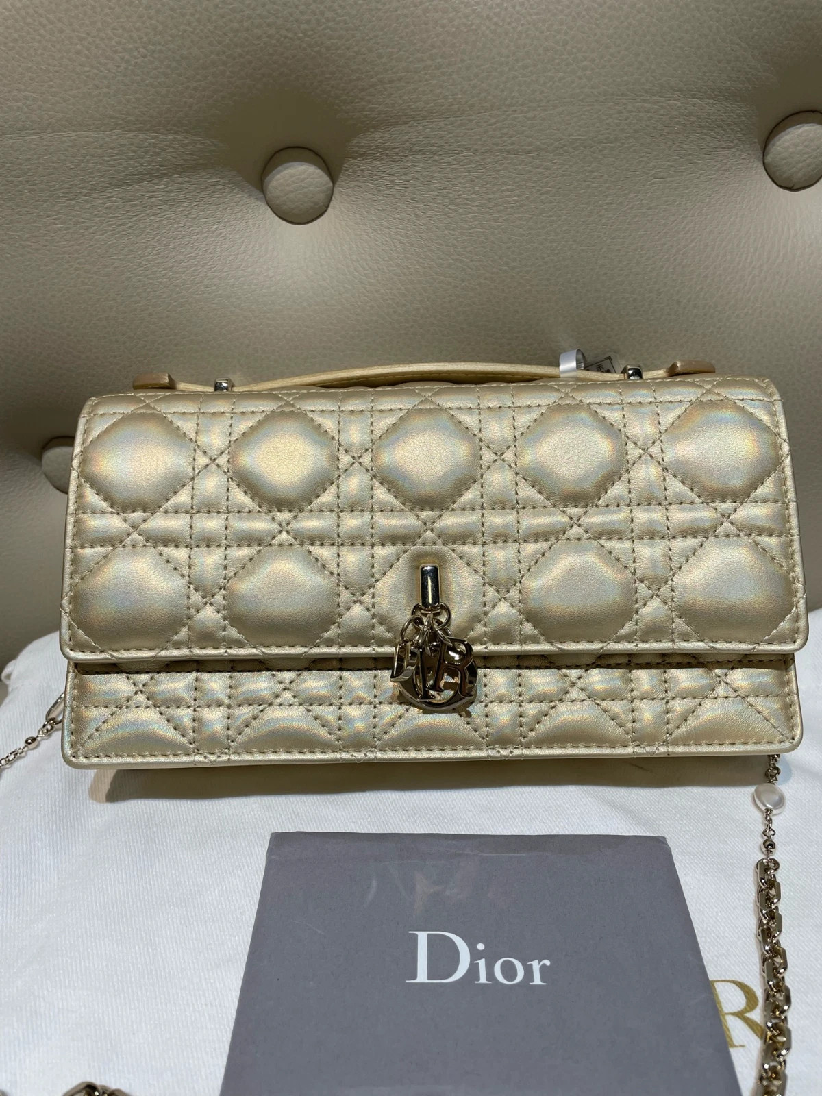 Dior Lady WOC Chain Bag, (21×11.5×4.5)cm | eBay | eBay US