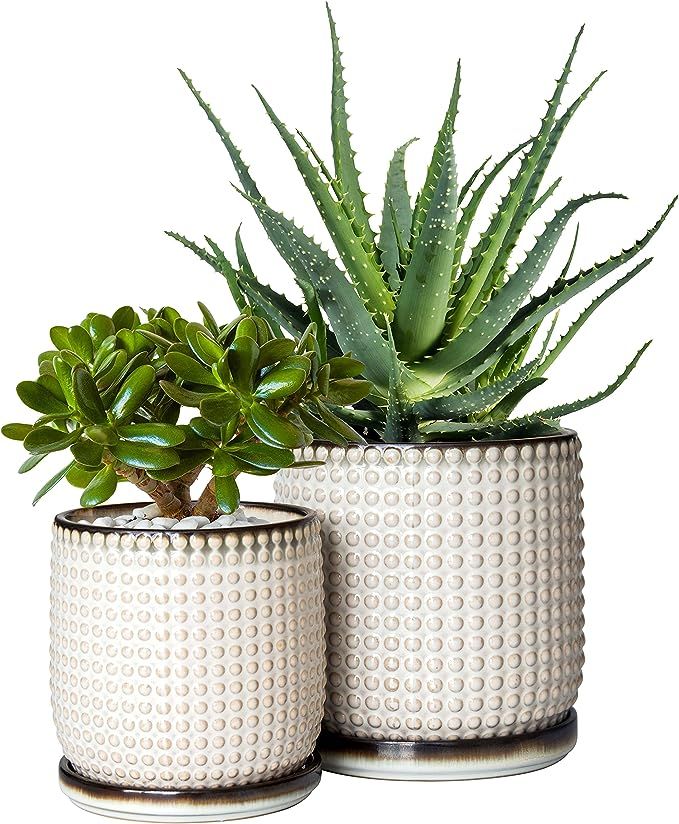 Set of 2 Beaded Design 4 Inch & 6 Inch Stoneware Planter Pot with Drainage Hole and Saucer, Smoke... | Amazon (US)