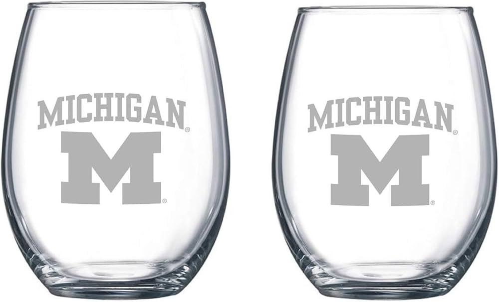 Michigan Etched Satin Frost Logo Wine or Beverage Glass Set of 2 | Amazon (US)
