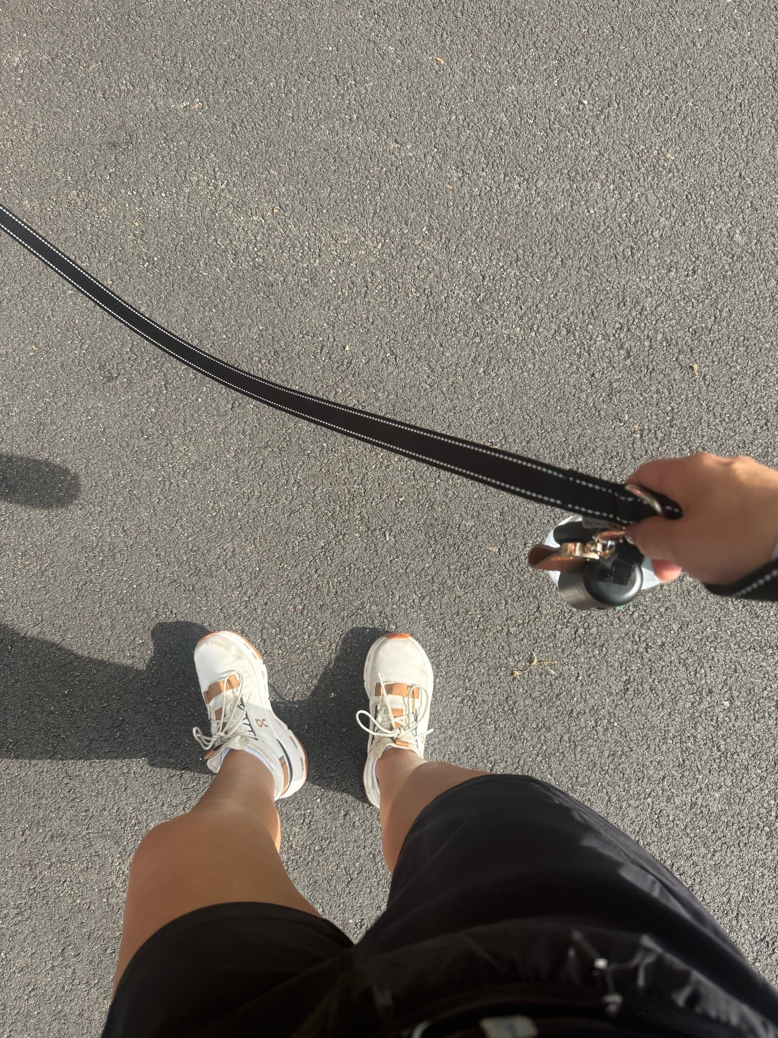 Favorite walking shorts & sneakers! Size 4 shorts, sneakers are true to size. 

Activewear
Athletic shorts
Running shoes
Summer outfits

#LTKPetite #LTKSeasonal #LTKActive