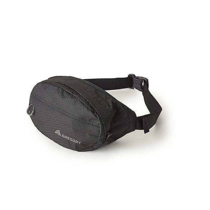 Gregory Nano Waistpack | Moosejaw.com