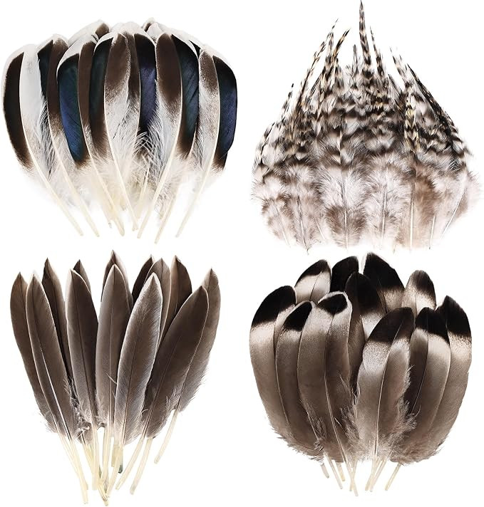 THARAHT 120pcs Natural Feathers Small 4 Styles Bulk for DIY Crafts Hat Wedding Home Party Decorat... | Amazon (US)