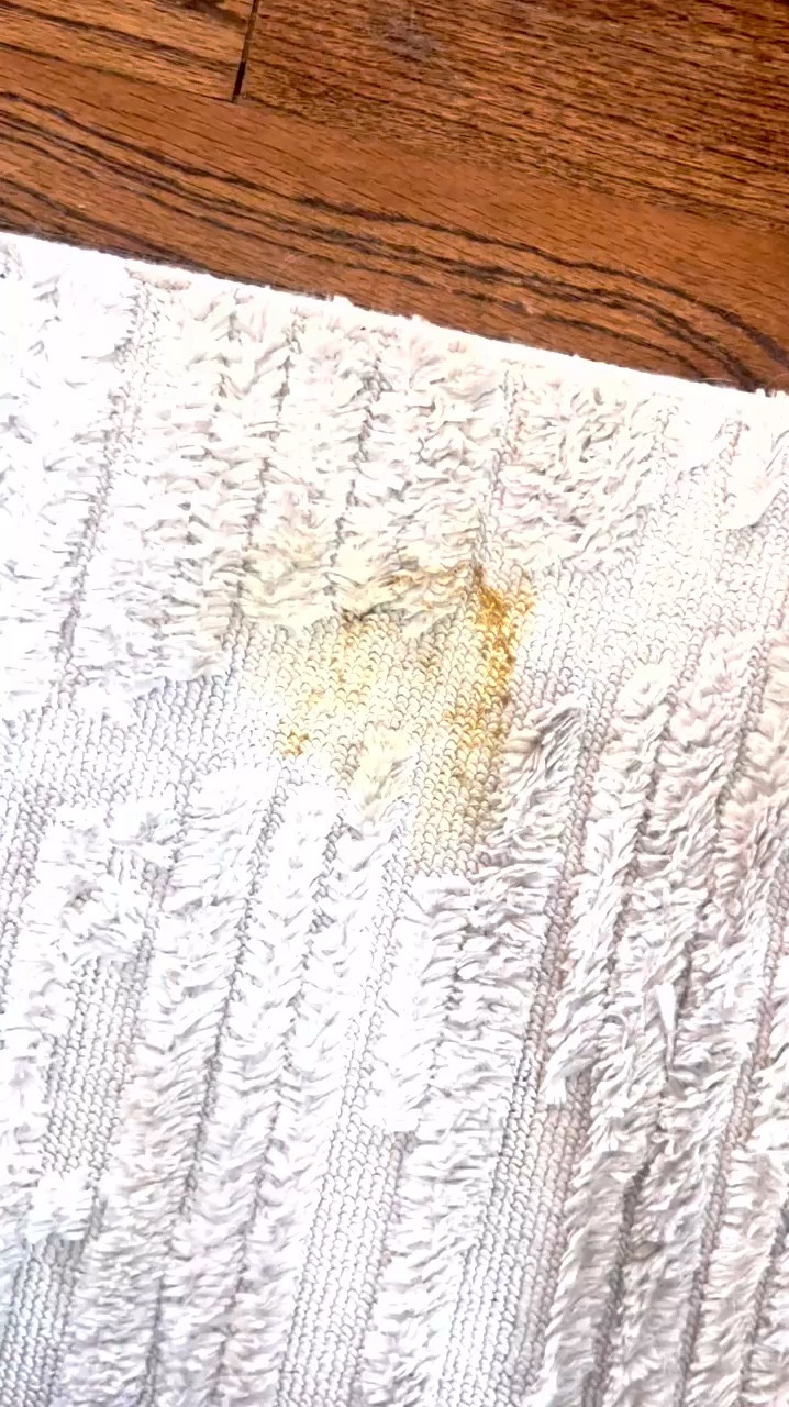 My dogs puke never stood a chance on my white rug 😡

This bissell green machine is a must for pet parents. Spot clean, clean your couches, your car… there is nothing this thing won’t clean. It’s so satisfying 🤤

#LTKFamily #LTKGiftGuide #LTKHome