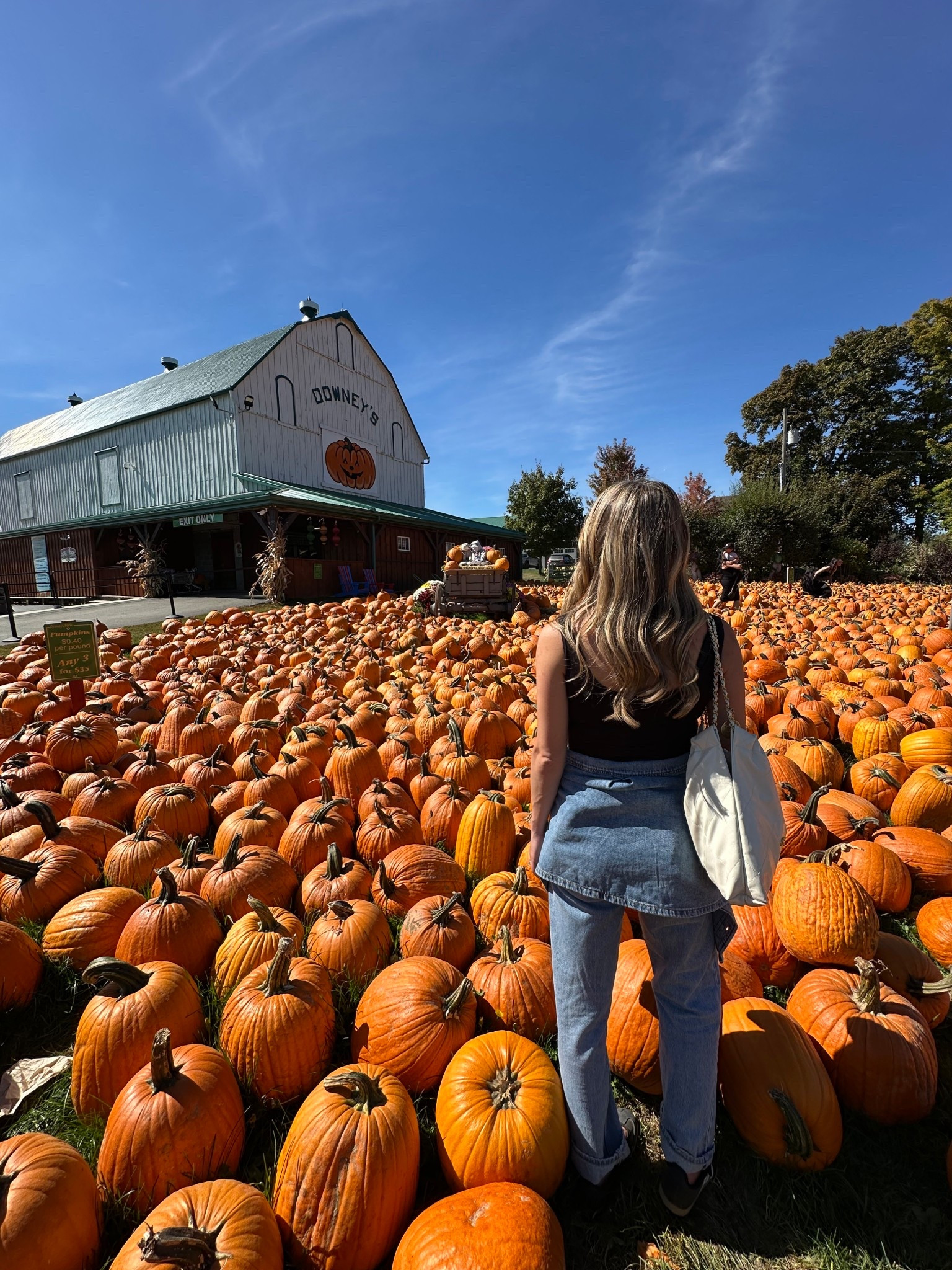 🎃🎃🎃

#LTKcanada